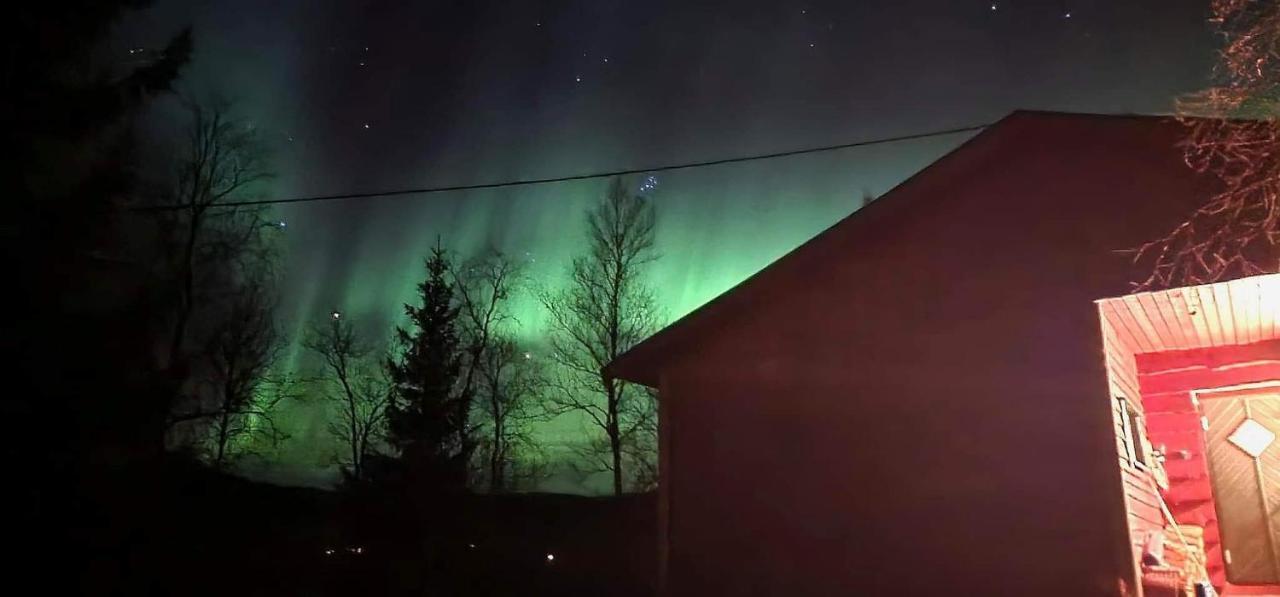 Cosy Cabin In North-Norway, Nearby Senja. Sorreisa Exteriör bild