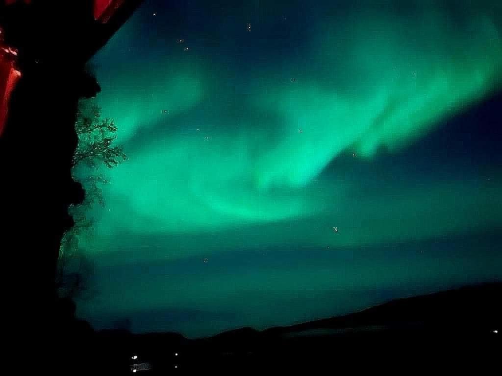 Cosy Cabin In North-Norway, Nearby Senja. Sorreisa Exteriör bild